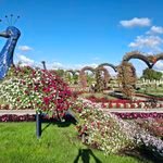 Babilono sodai: un viaggio attorno al mondo tra i fiori della Lituania